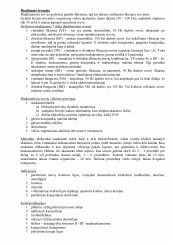 www.speros.lt